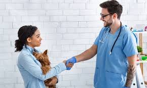 vétérinaire et humain femme avec son chien chez le vétérinaire qui le remercie en lui serrant la main